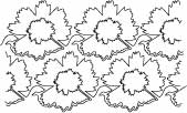 pattern graphic