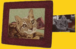 quilt photo